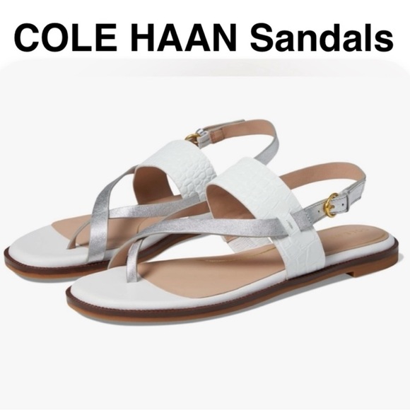 🪩⭐️ Join My Posh Live Show ⭐️🎊 - Picture 3 of 14